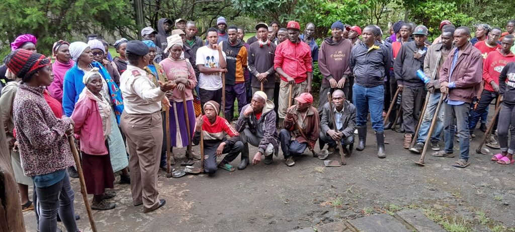 Planting Hope: 10,000 Seedlings Planted at Menengai Forest 480832222 609991121669711 7389445944829713563 n